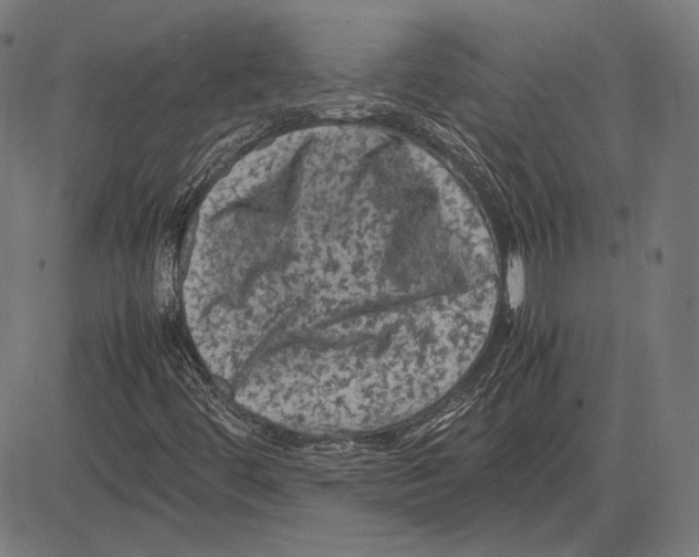 X0000081471444200702021820