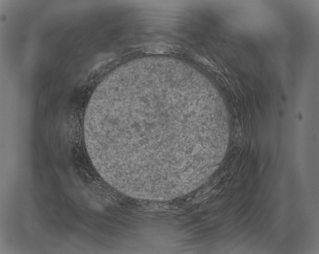 X0000081471446200702021820