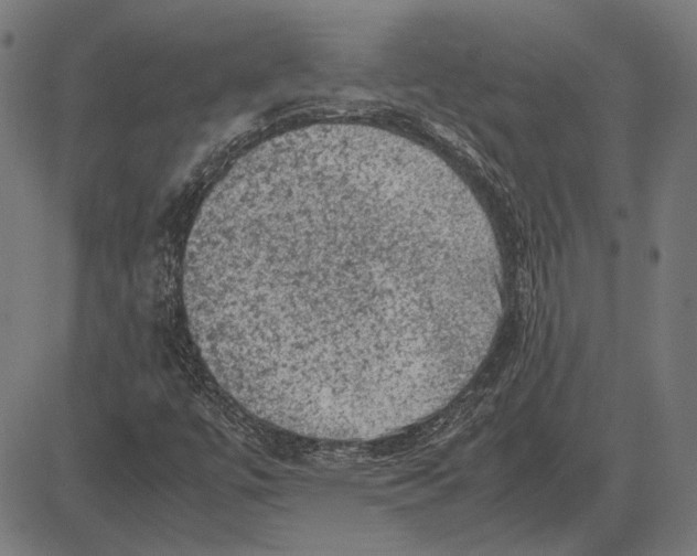 X0000081471447200702021820