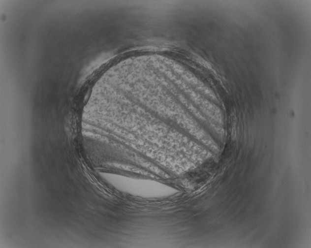 X0000081471448200702021820