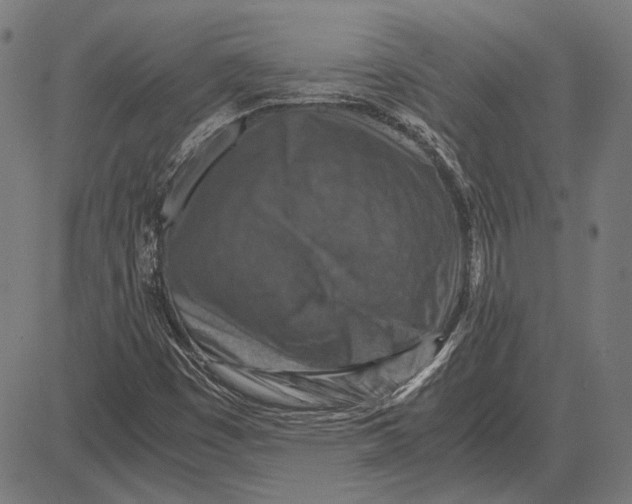 X0000081471449200702021820