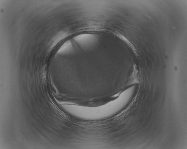 X0000081471450200702021820