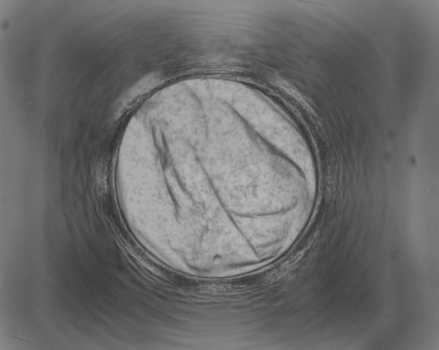 X0000081471451200702021820