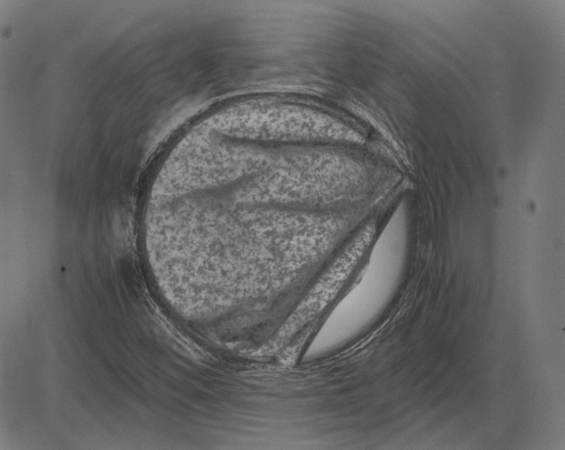 X0000081471452200702021820