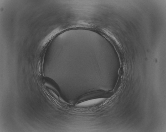 X0000081471455200702021820