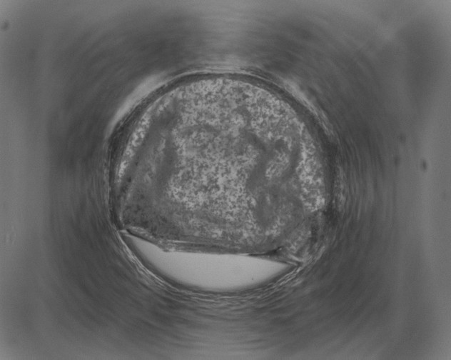 X0000081471456200702021820