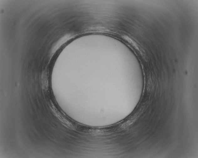 X0000081471458200702021820