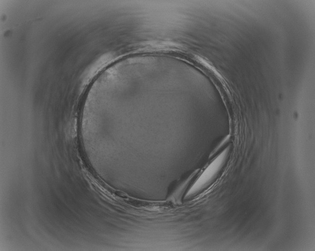 X0000081471459200702021820