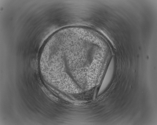 X0000081471460200702021820