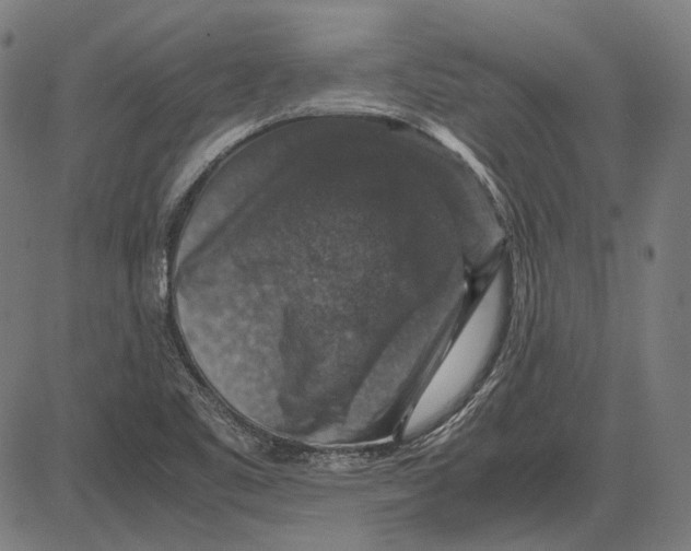 X0000081471461200702021820