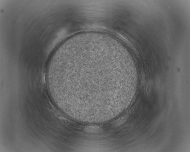 X0000081471462200702021820