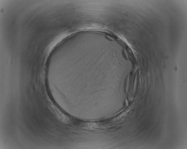 X0000081471463200702021820