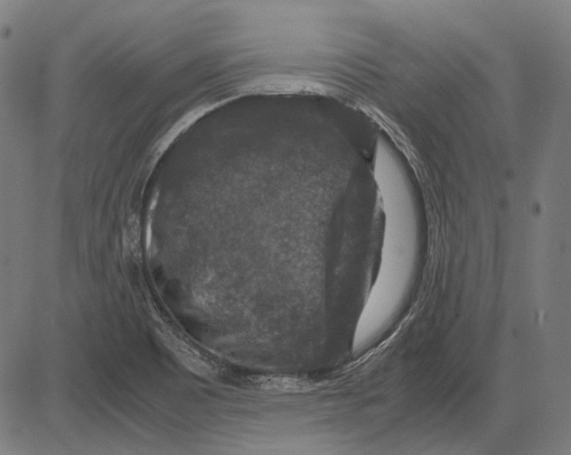 X0000081471465200702021820