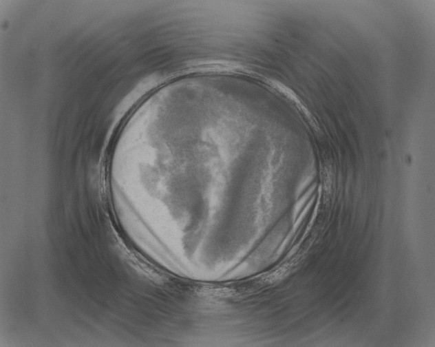 X0000081471466200702021820