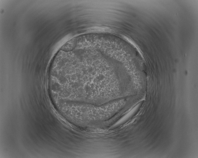 X0000081471467200702021820