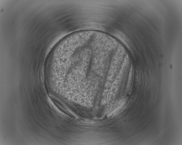 X0000081471468200702021820