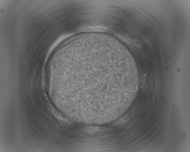 X0000081471470200702021820