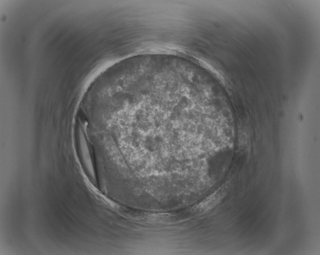 X0000081471471200702021820