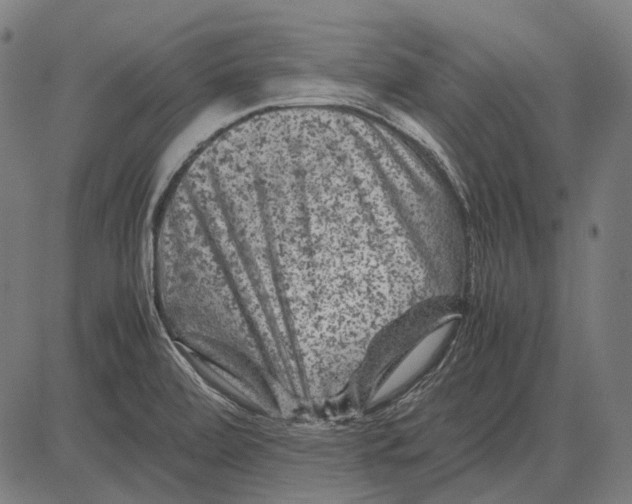 X0000081471472200702021820