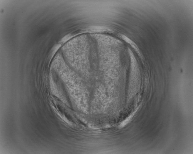 X0000081471473200702021820