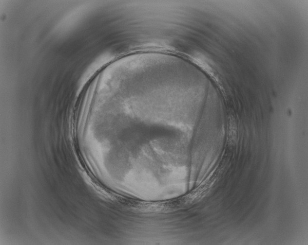 X0000081471474200702021820