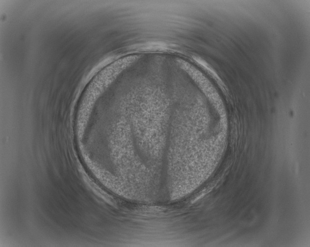 X0000081471475200702021820