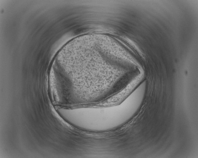 X0000081471476200702021820