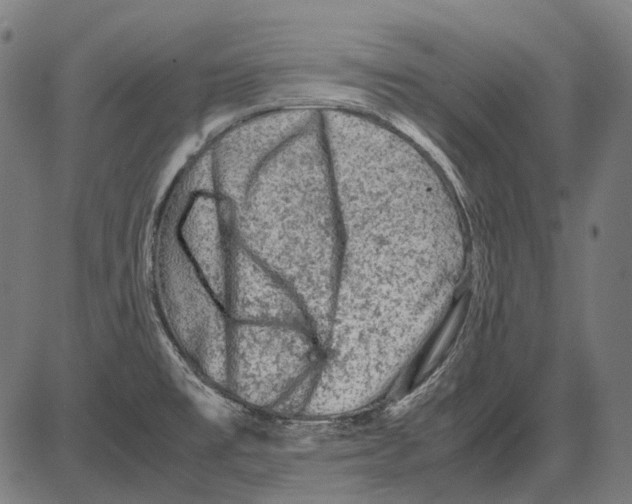 X0000081471477200702021820