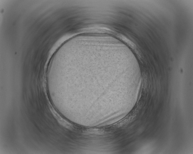 X0000081471478200702021820