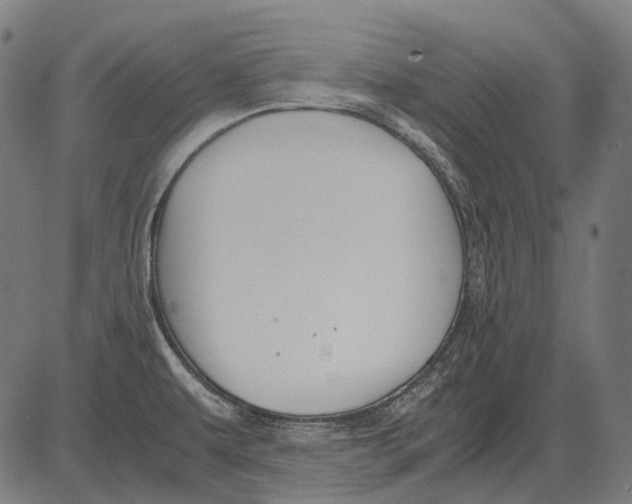 X0000081471479200702021820