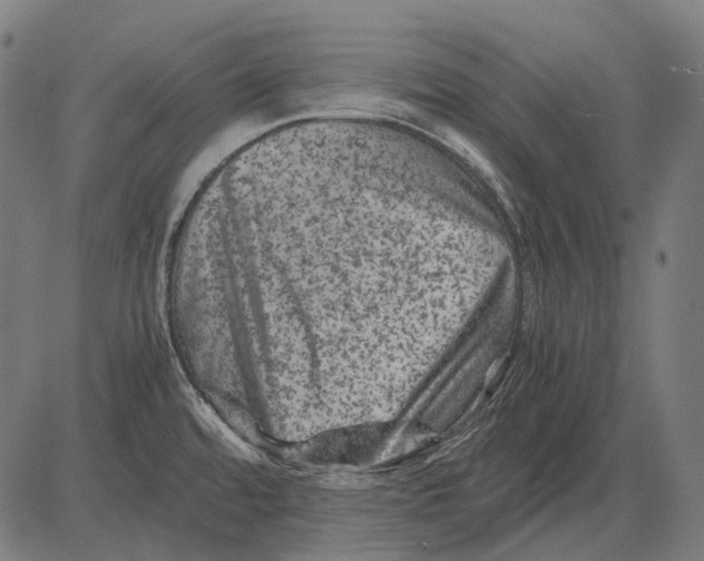 X0000081471480200702021820