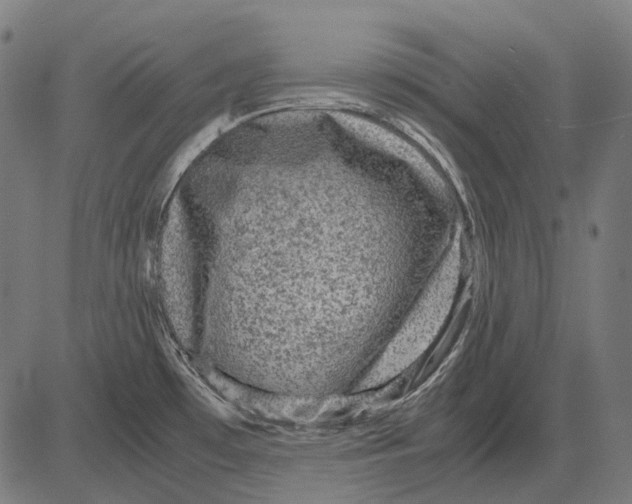 X0000081471481200702021820