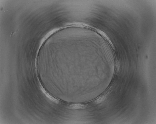 X0000081471482200702021820