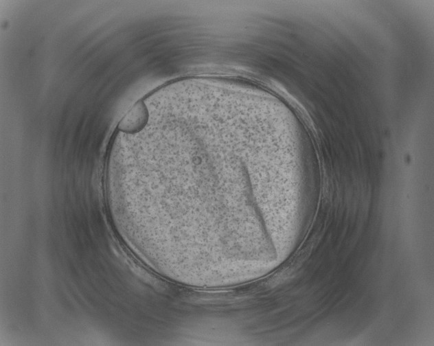 X0000081471486200702021820