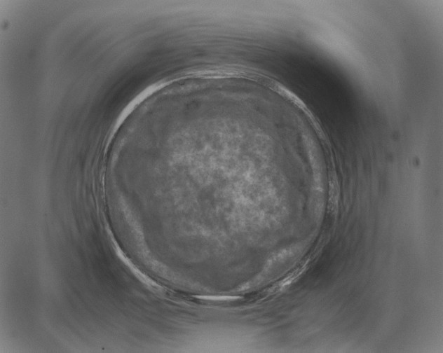 X0000081471487200702021820