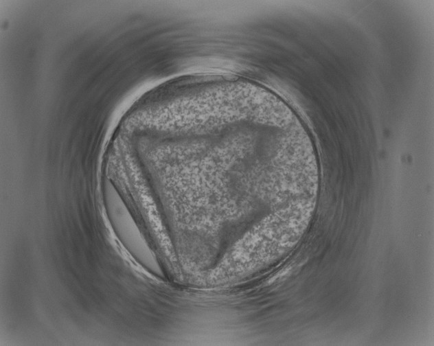 X0000081471488200702021820