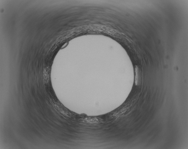 X0000081471491200702021819