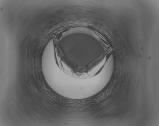 X0000081471492200702021819