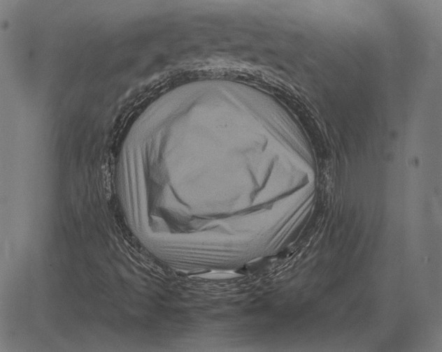 X0000081471493200702021819