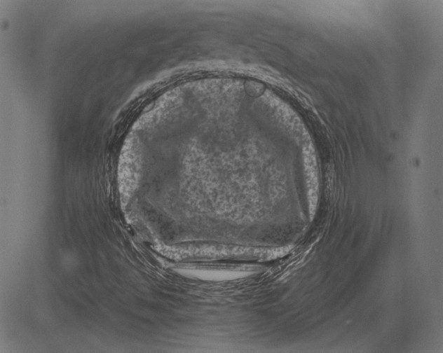 X0000081471494200702021819