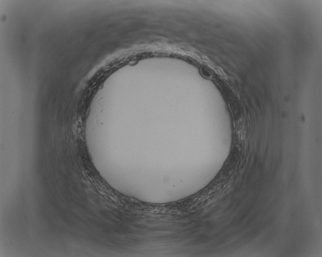 X0000081471495200702021819