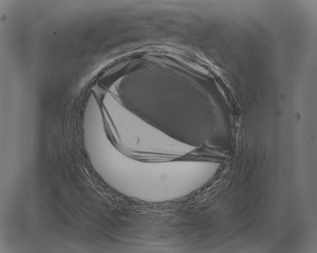 X0000081471496200702021819