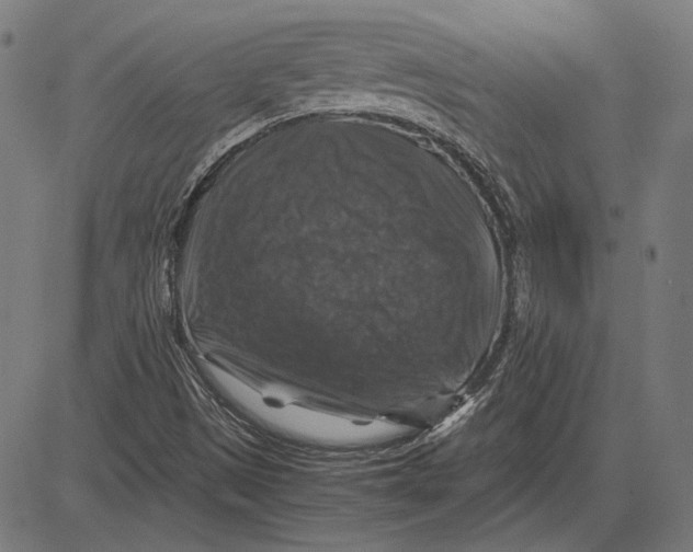 X0000081471497200702021819