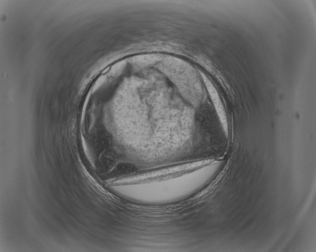 X0000081471500200702021819