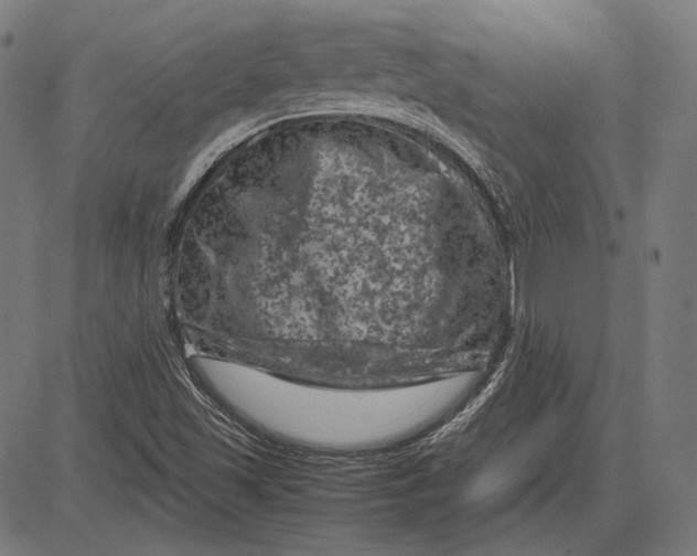 X0000081471501200702021819