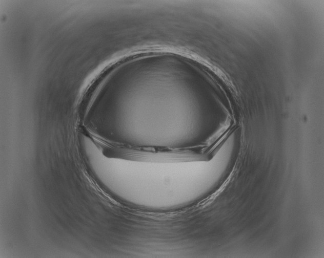 X0000081471502200702021819