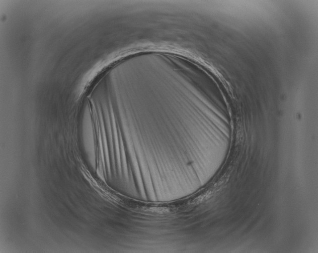 X0000081471503200702021819