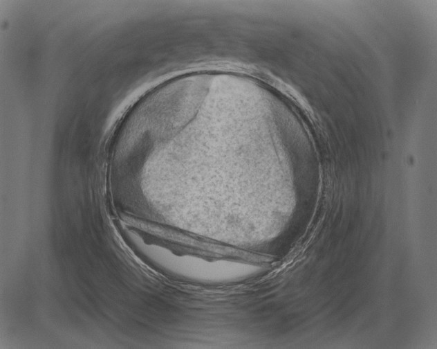 X0000081471504200702021819