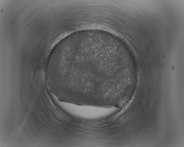 X0000081471505200702021819