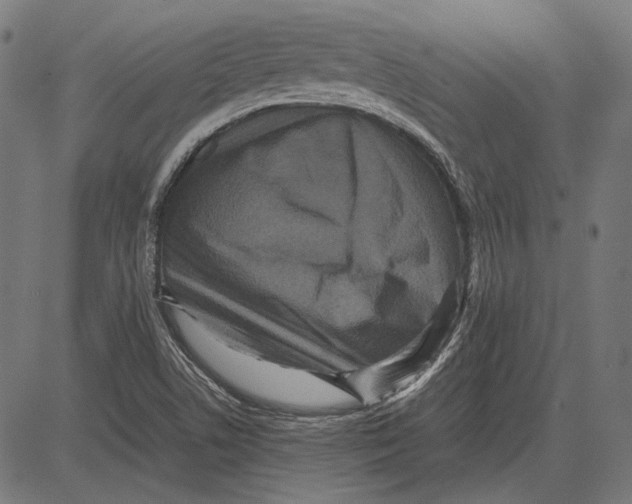 X0000081471506200702021819